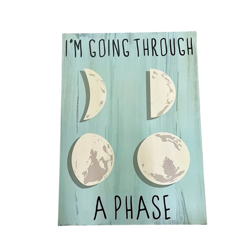 Pillowfort I’m Going Through a Phase Moon Wall Art